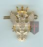 Mercian Regiment Officers No1 Dress Cap Badge showing shank and pin