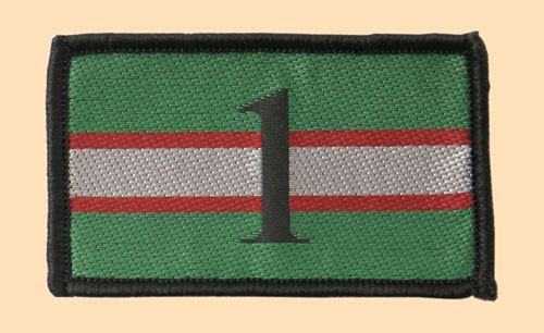 1st Military Intelligence Brigade Tactical Recognition Flash