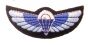 Special Air Service SAS Colour  Wings