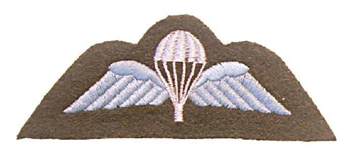 Velcro Backed Cloth Colour Para Wings