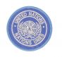 United Nations Emblem Attached arm badge