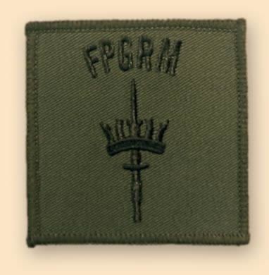 FPGRM (Fleet protection Group, Royal Marines) Arm Patch