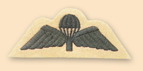Light Infantry Cloth Para Wings