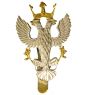 Issue Mercian Regiment Cap / Beret Badge