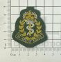 RAMC Commando Green Officers Wire Embroided Cap / Beret Badge
