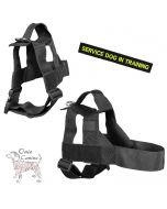 Onie Canine Search Dog Harness - 38mm Strap