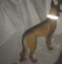 UKOM Onie Canine Safety / Glow Dog Collar (Worlds Strongest K9 Collar) on dog