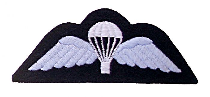 Royal Air Force Para Wings