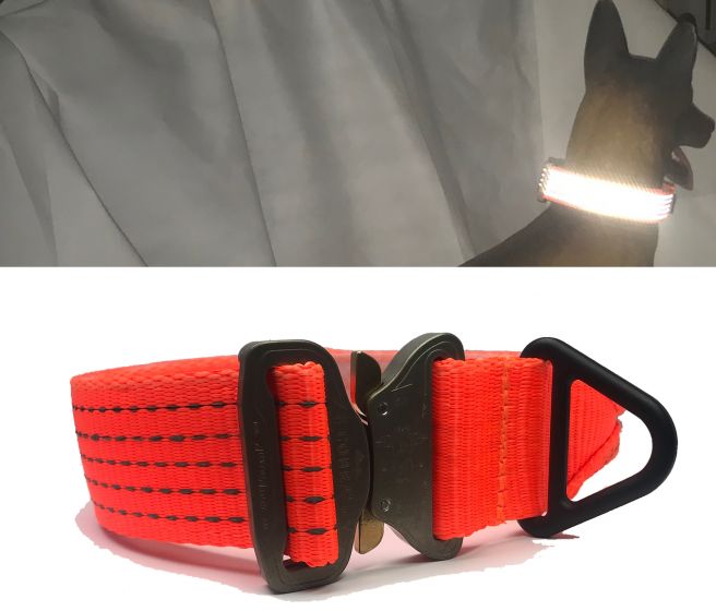 UKOM Onie Canine Safety / Glow Dog Collar (Worlds Strongest K9 Collar)
