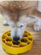 honey-bowl-feeding-tray-sodapup-feeding-view