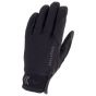 Sealskinz Waterproof All Weather Glove Black