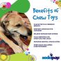flower-tower-sodapup-dental-chewer-benefits-of-chew-toys