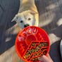 Sodapup-great-outdoors-ebowl-holding-the-bowl-full-of-food-down-to-a-dog