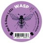 Wasp-Purple-22