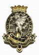 Royal Wessex Yeomanry Beret Badge (Other Ranks, two-piece, vertical hook)