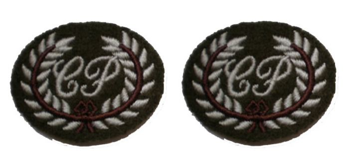 Royal Military Police Basic Close Protection Course Badges (pair)