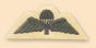 Light Infantry Cloth Para Wings