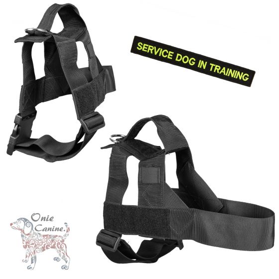 Onie Canine Search Dog Harness - 38mm Strap