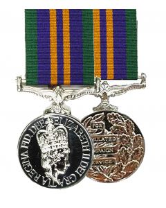Official Accumulated Campaign Service ACSM Miniature Medal + Ribbon 2011