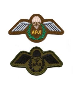 Army Parachute Jump Instructor APJI Wings