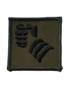 20th Armoured Infantry Brigade - Olive Green TRF - Badge