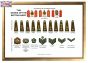 A3 Ranks of the British Army Poster