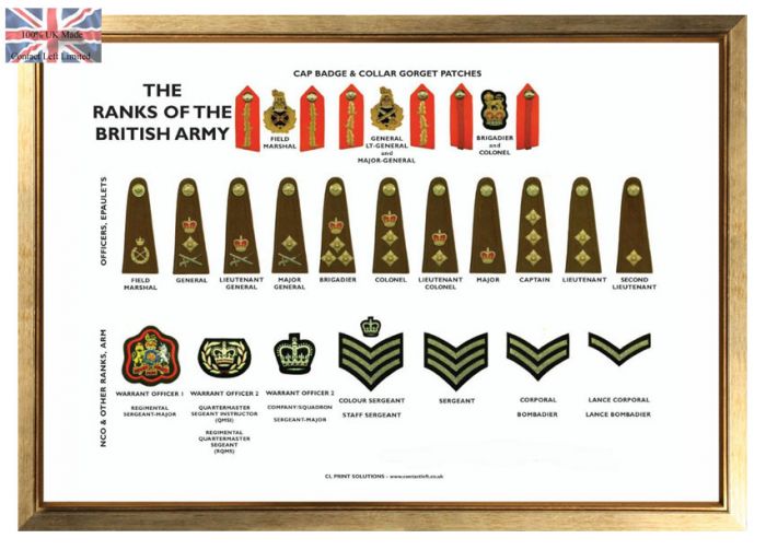A3 Ranks of the British Army Poster