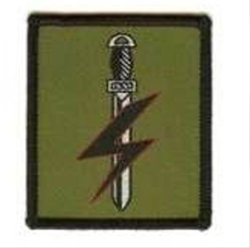 Special Forces Support Group ( SFSG ) identification badge.